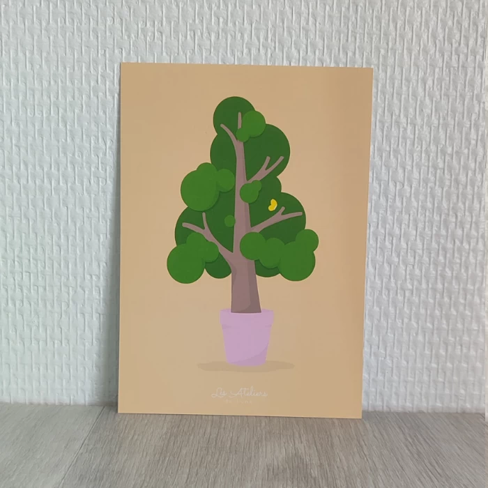 carte postale l'arbre en pot