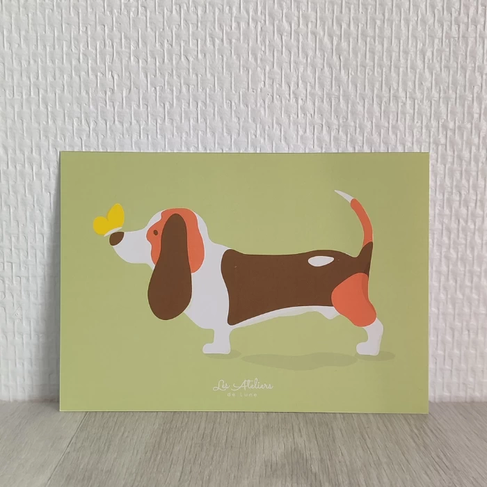 carte postale le basset et le papillon